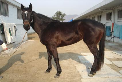 ��ƮŰ�� ����