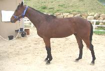 AREUMDAUN JILJU picture