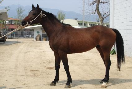 ���̽��� ����