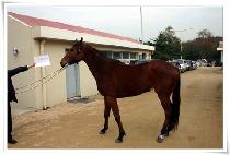 ��� (EORAESAN) ����