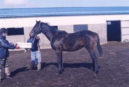 �Ŀ������� ����