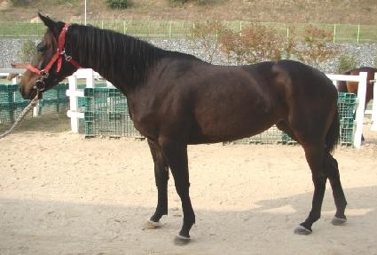 ����޽��� ����