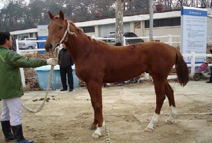 ���� ����