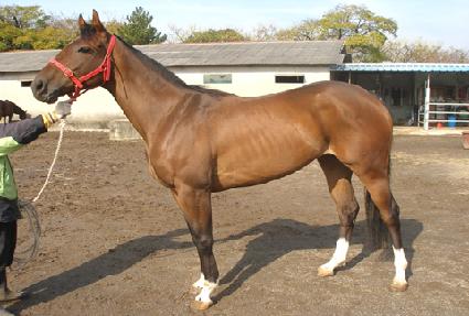 ���� ����