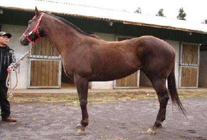 �����׹� ����