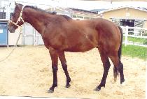 ��ȣó�� (BIHO CHEOREOM) ����