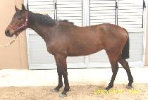 �������� (DANGCHAN TAEJA) ����