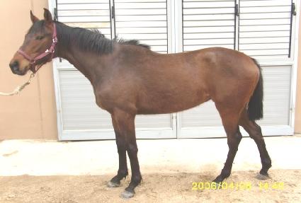 �������� ����