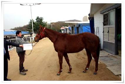 ������ι� ����