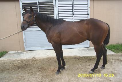 ������� ����