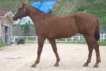 �ְ��Ŀ� (CHOEGANG POWER) ����