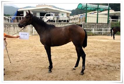 ��º�� ����