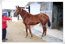 ��� (DAEBEOL) ����