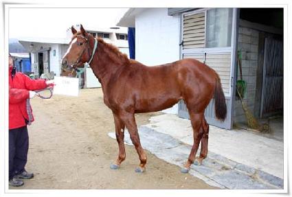 ��� ����