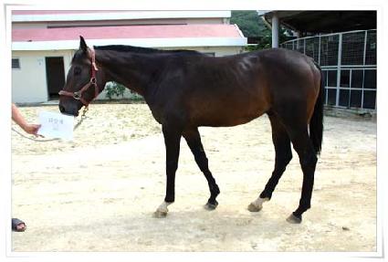 �ݰ�ü ����