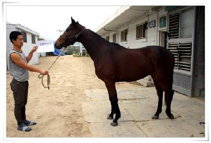 Ʈ�����丮 ����