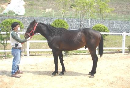 �������� ����