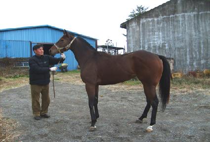 ������ ����