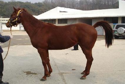 �ö���ĸƾ ����