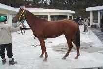 ����ó�� (DOSICHEONYEO) ����