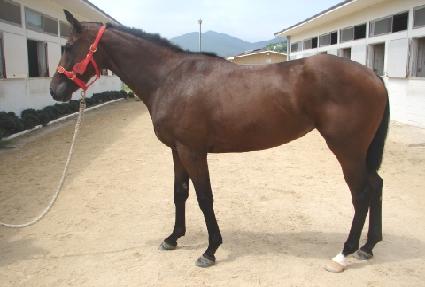 ��콺�� ����