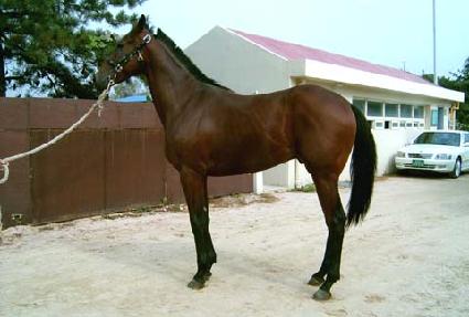 ���빮ȭ ����