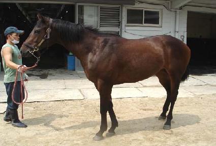 ��ǳ���� ����