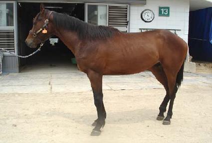 ������ȭ ����