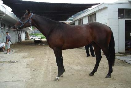 ��ó���� ����