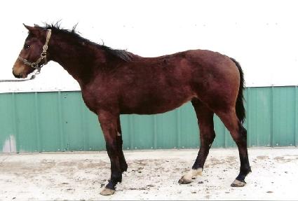 ���ù��� ����