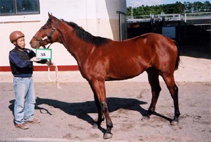 ŷ���� ����