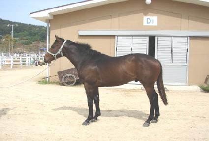 �ظӽ��� ����