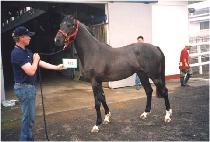 EOULLIMNYEONGUNG picture