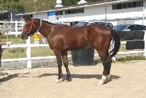 �ְ����� (CHOEGANG JEONSEOL) ����