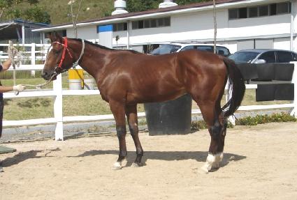 �ְ����� ����