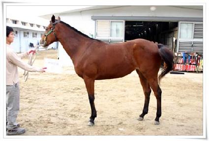 ���� ����