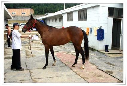 ������ ����