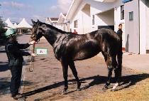 ����ȭǳ (JISUHWAPUNG) ����