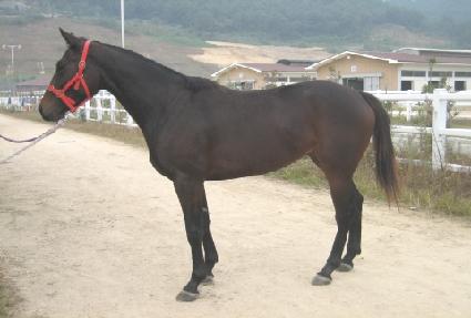 �ʽ°��� ����