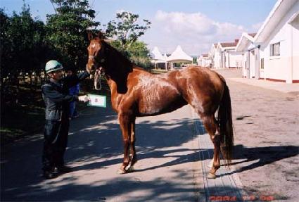 ���¸�ε� ����