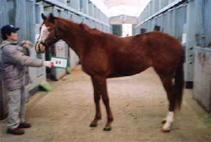 ũ����Ż�ַ� ����