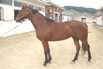 �����ö�� (HAPPY FLOWER) ����