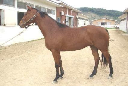 �����ö�� ����