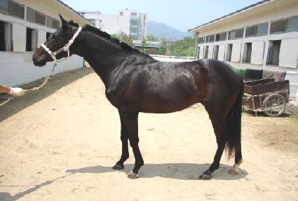 �ΰ���� ����