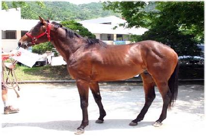 �������� ����