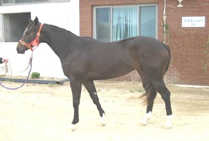 Ǫ������ ����