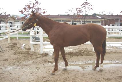 �������丮 ����