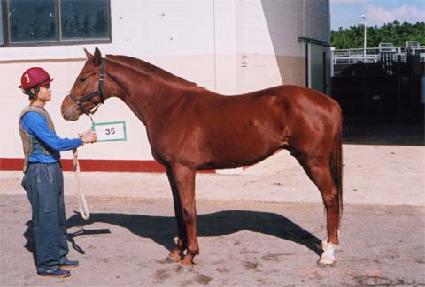 �����屺 ����