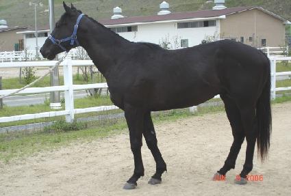 �����º� ����