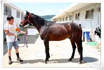 ǳ���뵵 (PUNGJINNODO) ����